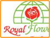 Welcome to Royal Flowers